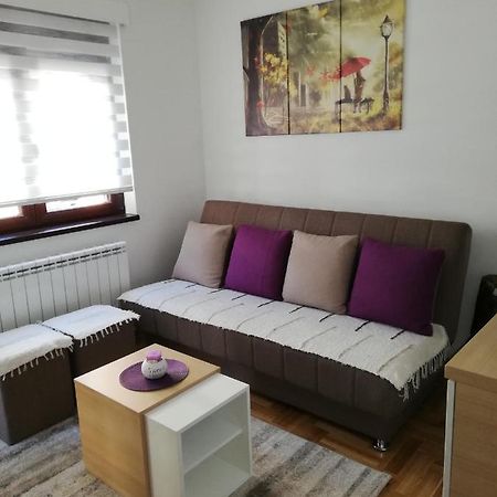 Apartman Milosevic Zlatibor Eksteriør billede